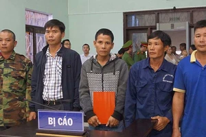 Khó hiểu tòa kết tội năm người cưa gỗ khô