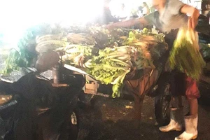 Chợ đầu mối Hóc Môn sẽ giải quyết yêu cầu của tiểu thương