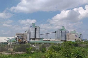 Hậu Giang: Nhiều sai phạm về sản xuất xi măng