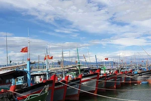 Tàu cá dưới 15 m không được ra khơi vì… hội nhập