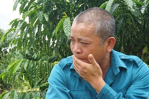 Vụ gỗ khô: Tòa lệnh bảy ngày nữa hai người phải đi tù