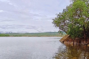 Sống trong sợ hãi vì sa tặc lộng hành ở Quảng Bình