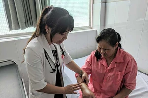 Mùa mưa, người bị rắn cắn tăng mạnh