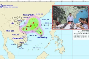 Khẩn cấp ứng phó với tổ hợp thiên tai bất lợi