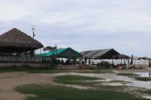 Cấm kinh doanh phao, dù, ghế bố dưới biển Long Hải