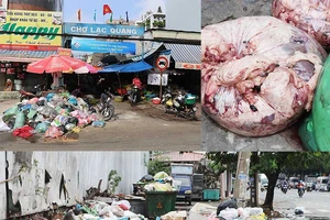 Ám ảnh khi phải sống chung với những bãi rác tự phát