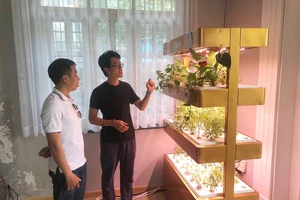 CEO có hai bằng sáng chế ở Mỹ: ‘Tôi không mê kiếm tiền’