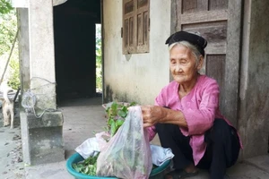 Cụ Đỗ Thị Mơ. Ảnh: Báo Thanh Hóa