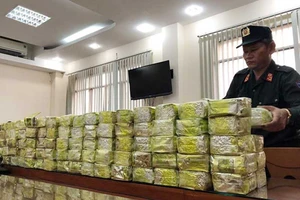 TP.HCM đánh mạnh vào các tụ điểm chứa chấp ma túy