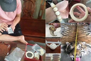 Tôi đi mua móng hổ, ngà voi 