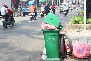 Có thùng rác, vẫn tiện đâu vứt đó