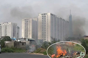 TP.HCM: Cảnh báo tình trạng đốt rác ở quận 2 