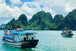 Đề xuất tăng phí ‘khủng’ tham quan vịnh Hạ Long bị bác