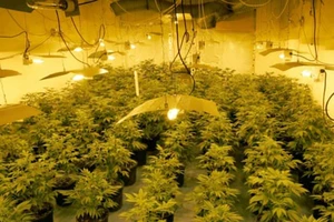 Lý do nhà nhà kéo nhau sang Anh ‘đổi đời’