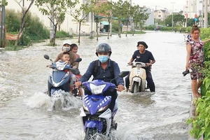 TP.HCM quyết chữa ‘căn bệnh’ ngập