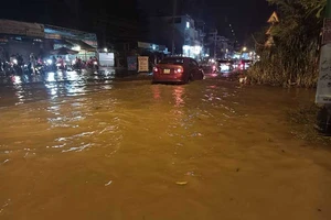 Chuyên gia Hà Lan đề xuất cách chống ngập ở quận 2, 9