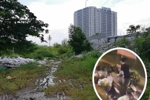 Camera ghi hình đổ rác lén, vì sao không phạt được?