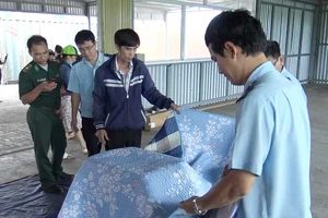 Hải quan bắt hàng nhập từ Trung Quốc ghi xuất xứ Việt Nam