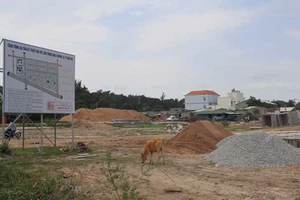 Vũng Tàu quyết thu hồi đất, xây hai trường học