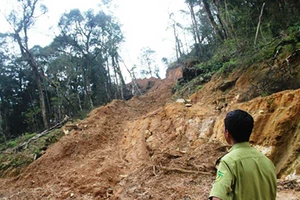 Kỳ lạ vụ án quy gỗ ra gạo để định tội