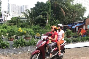 Biến bãi rác thành khu vui chơi cho người dân