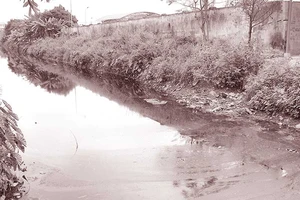 Nguồn ô nhiễm vây kín các sông cấp nước ngọt ở Hải Phòng