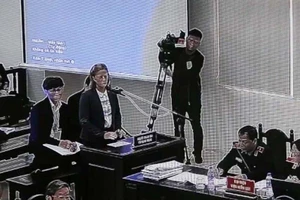 Clip: Vợ ông Phạm Nhật Vũ phát biểu tại tòa