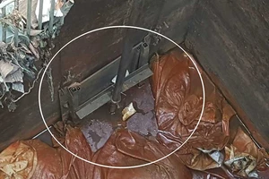 Công ty xử lý nước thải nhưng xả thải trộm