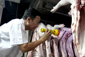 Giáp tết, nguy cơ thịt heo bẩn tràn vào TP.HCM