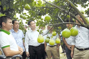 Thành quả 2019 tạo đà về đích cho năm 2020