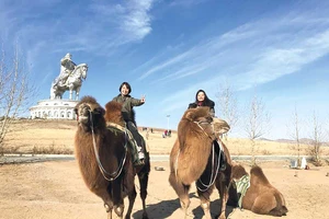 Thử một lần tới Mông Cổ