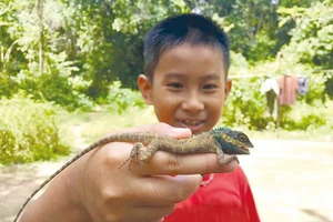 Tết vào rừng cùng con