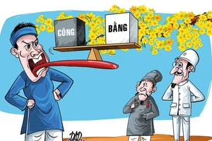 Giải mã ‘Quảng Nam hay cãi’