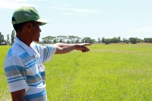 Hạn, mặn ở miền Tây năm nay sẽ khốc liệt hơn