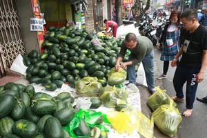 Tắc đường sang Trung Quốc, hàng Việt tìm đường ra mới