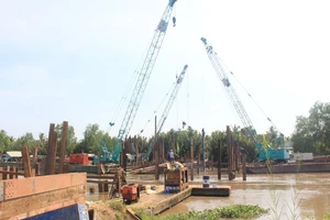 Bến Tre đắp đập ‘dã chiến’ ngăn mặn