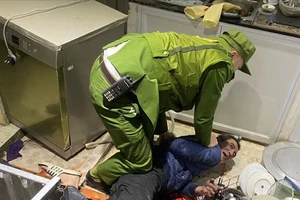 Bác sĩ chỉ cách đối phó với người ngáo đá