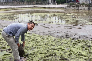 Hải Phòng: Khoanh vùng giải cứu ‘Hạ Long trên cạn’