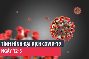 Tình hình đại dịch COVID-19 ngày 12-3