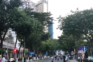 Giải thích giá đất thương mại ở Đà Nẵng giảm 5%