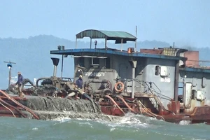 Tăng cường phòng, chống khai thác cát trái phép biển Cần Giờ