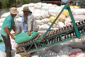 Bộ Công Thương lý giải đề xuất tạm dừng xuất khẩu gạo