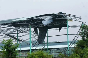 Bầu Đức và dự án thất bại của ông Trần Bắc Hà