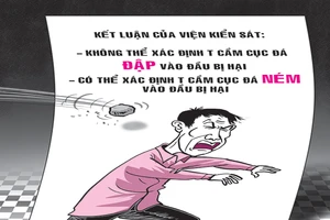 Tòa khó xử vì một… cục đá