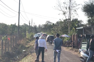 Giữa mùa dịch, nhiều nơi vẫn sốt đất