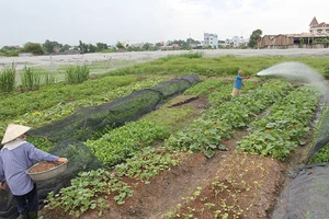 Năm 2020, chưa tính sửa Luật Đất đai