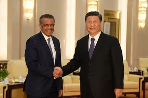 Mổ xẻ khủng hoảng của WHO mùa dịch COVID-19