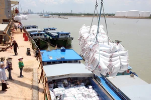 Tổng cục Hải quan kiến nghị Thủ tướng cho điều tra