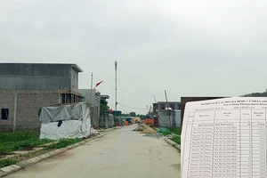 Đường 'nhuệ' thao túng nhiều vụ đấu giá đất