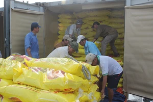 Nhiều vướng mắc về xuất khẩu gạo được tháo gỡ